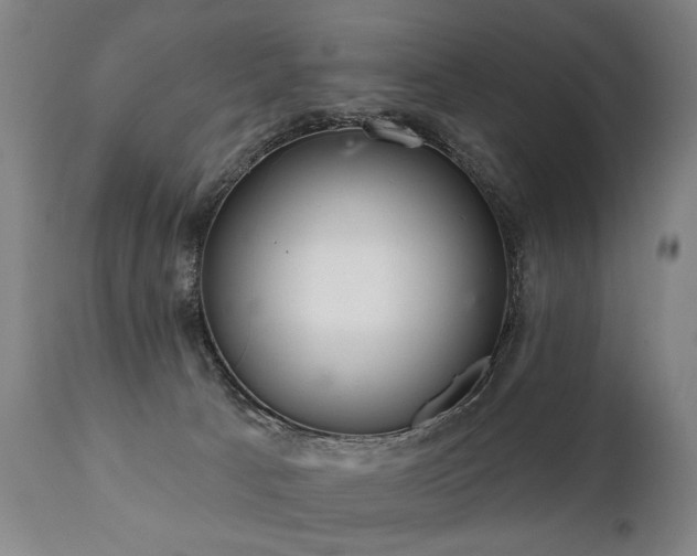 X0000112060033200908041226