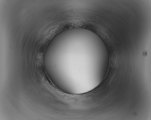 X0000112060034200908041226