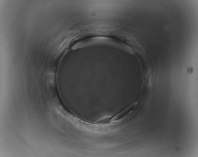 X0000112060035200908041226