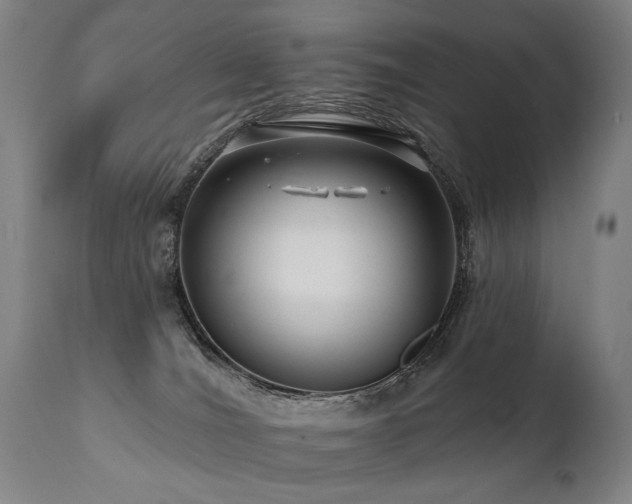 X0000112060036200908041226