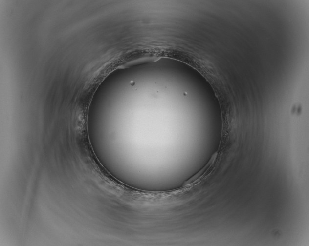 X0000112060037200908041225