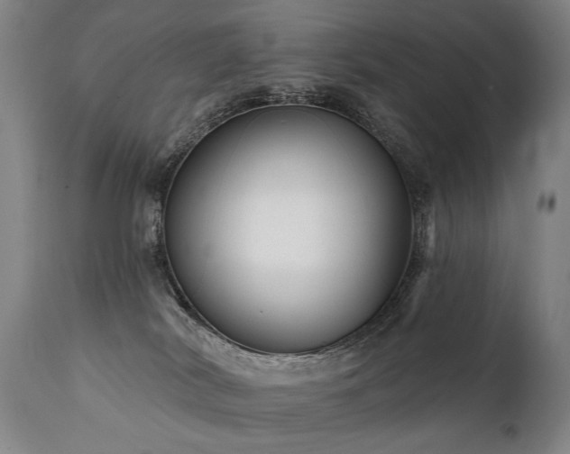 X0000112060038200908041225