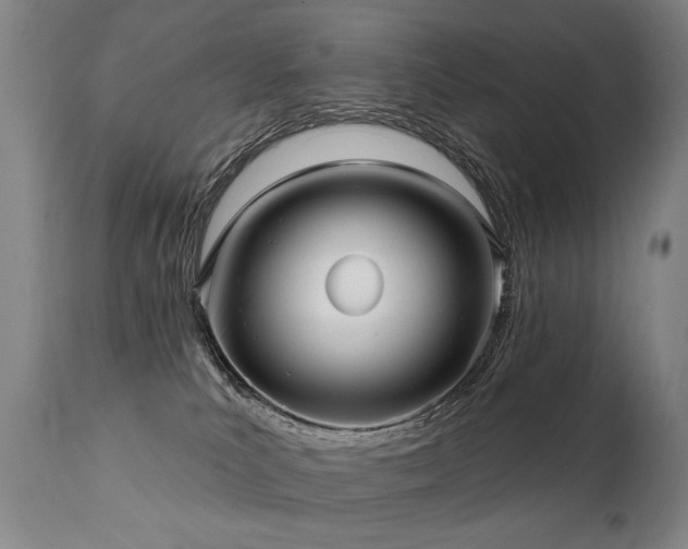 X0000112060039200908041225