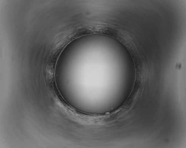 X0000112060040200908041225