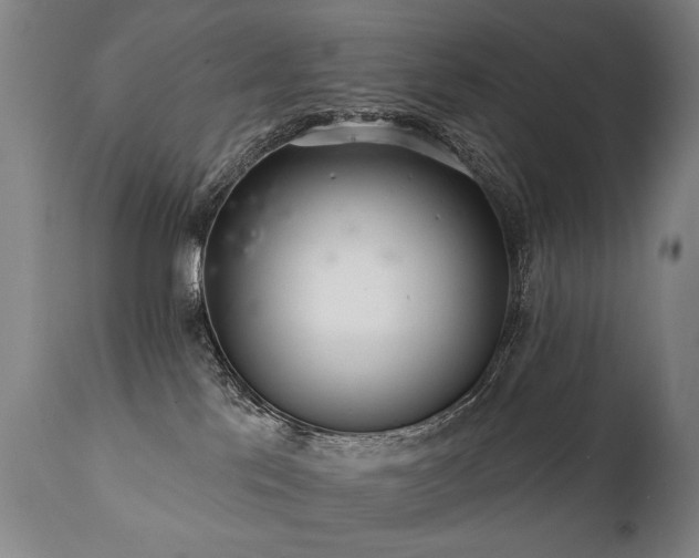 X0000112060041200908041225