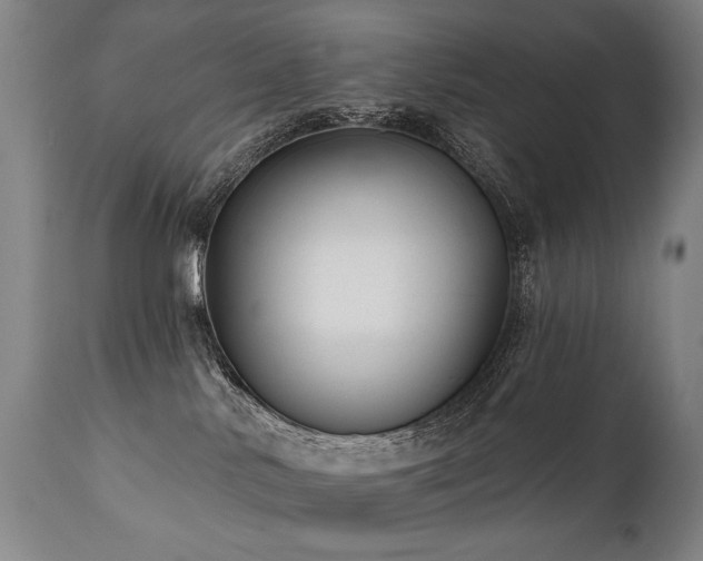 X0000112060042200908041225
