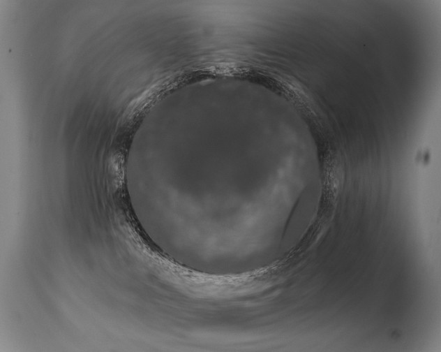 X0000112060043200908041225