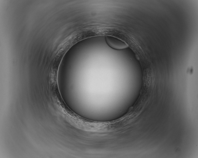 X0000112060044200908041225