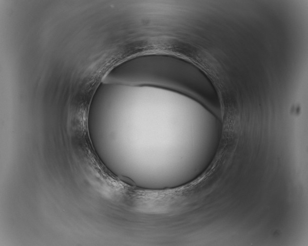 X0000112060045200908041225