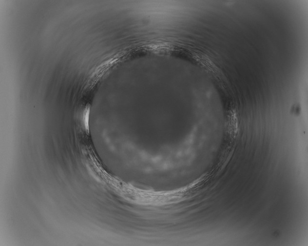 X0000112060047200908041225