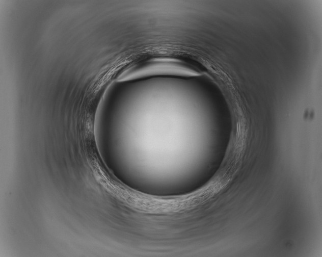 X0000112060048200908041225