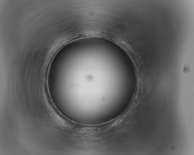 X0000112060049200908041224