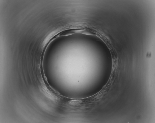 X0000112060051200908041224