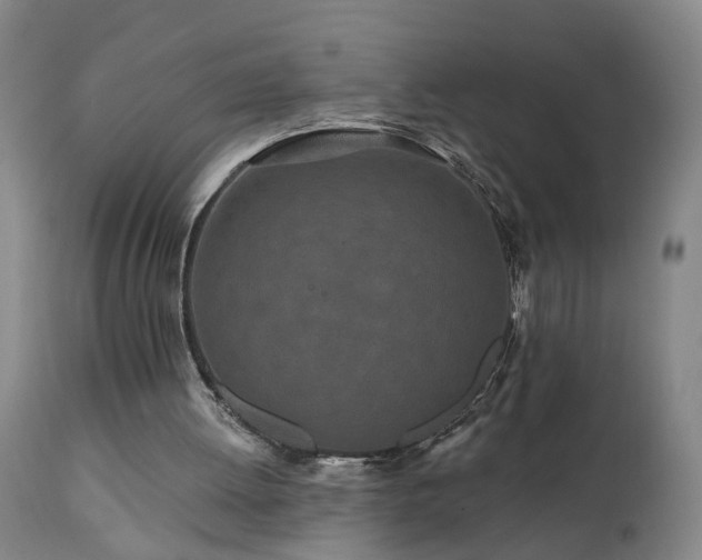 X0000112060052200908041224