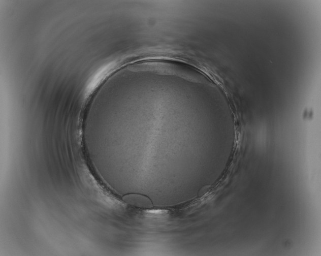 X0000112060053200908041224