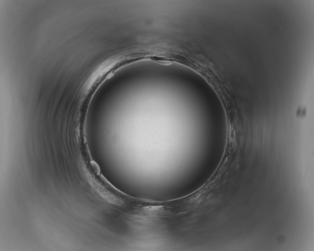 X0000112060054200908041224