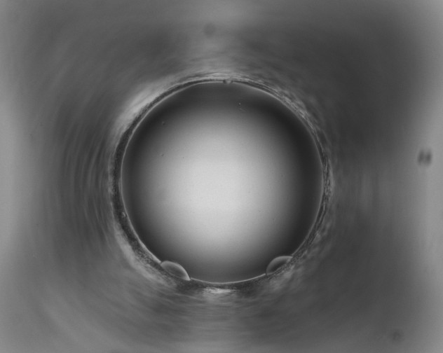 X0000112060055200908041224