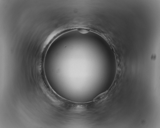 X0000112060056200908041225