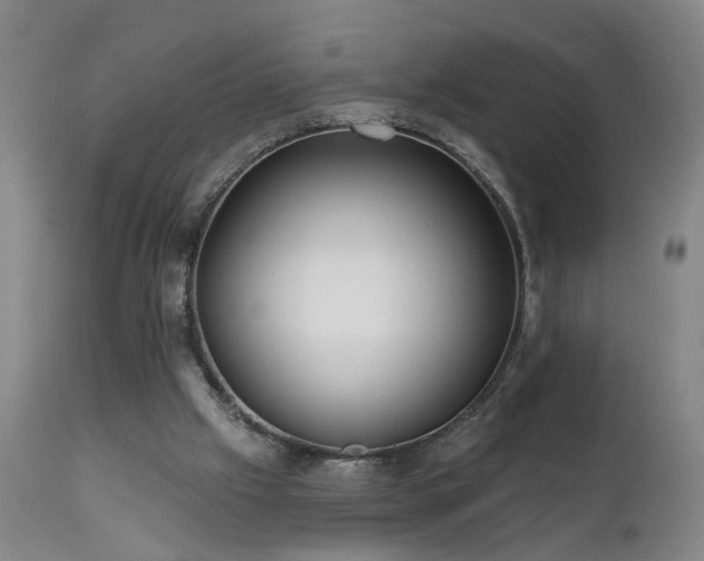 X0000112060057200908041225