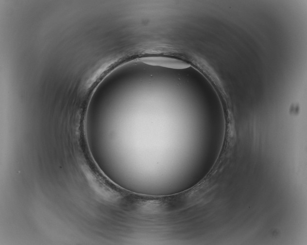 X0000112060058200908041225