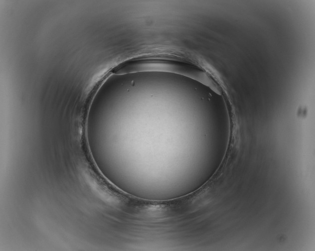 X0000112060059200908041225