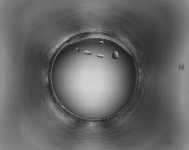X0000112060060200908041225