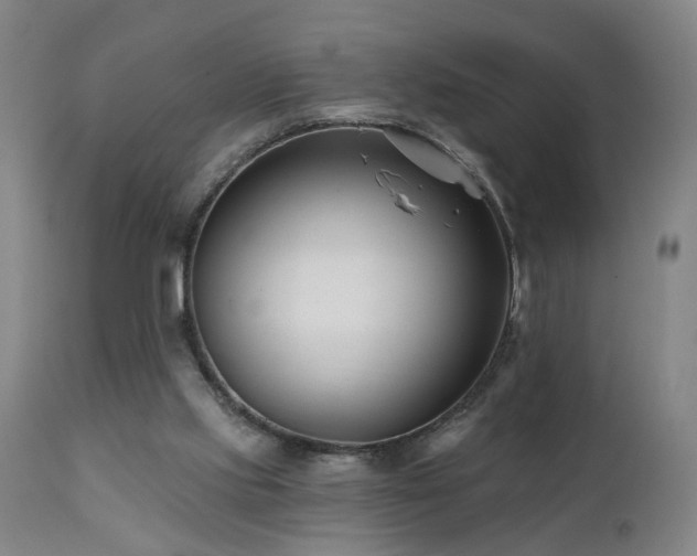 X0000112060061200908041225