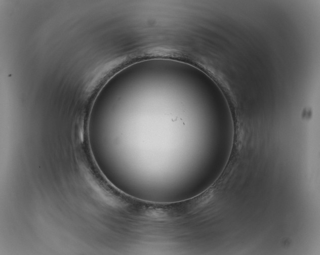 X0000112060062200908041225
