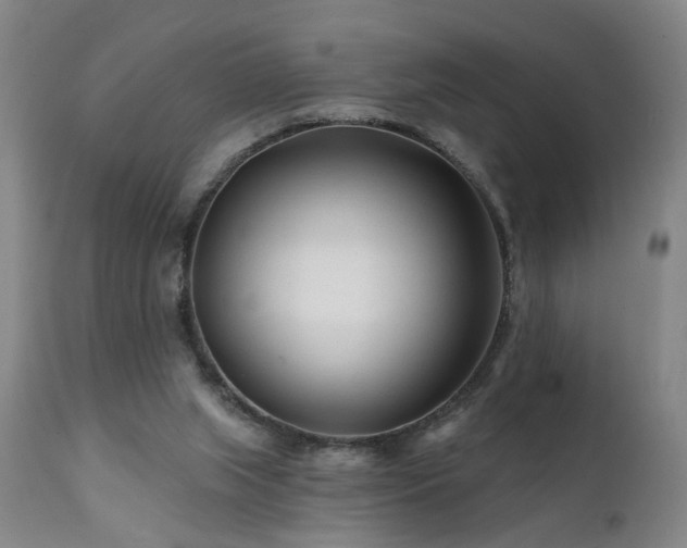 X0000112060063200908041225