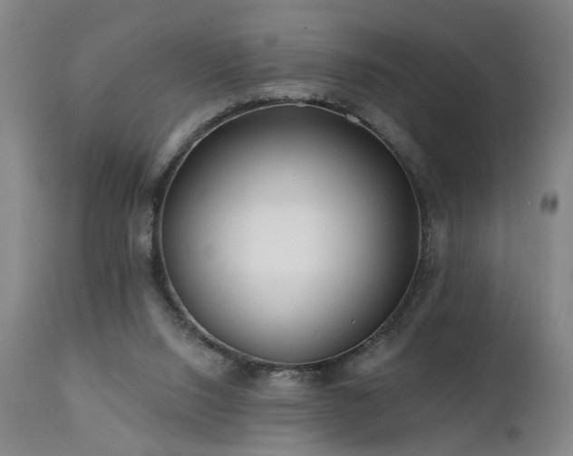 X0000112060064200908041225