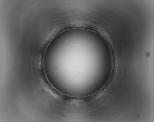 X0000112060065200908041225