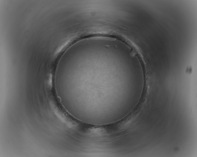 X0000112060067200908041225