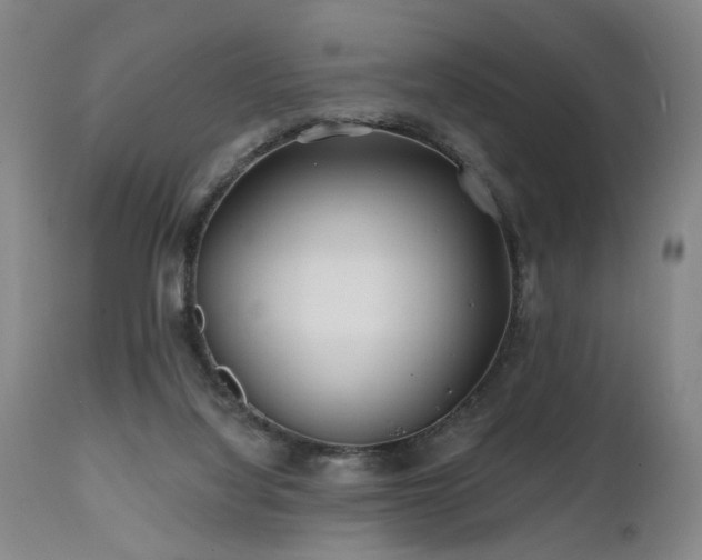 X0000112060068200908041225