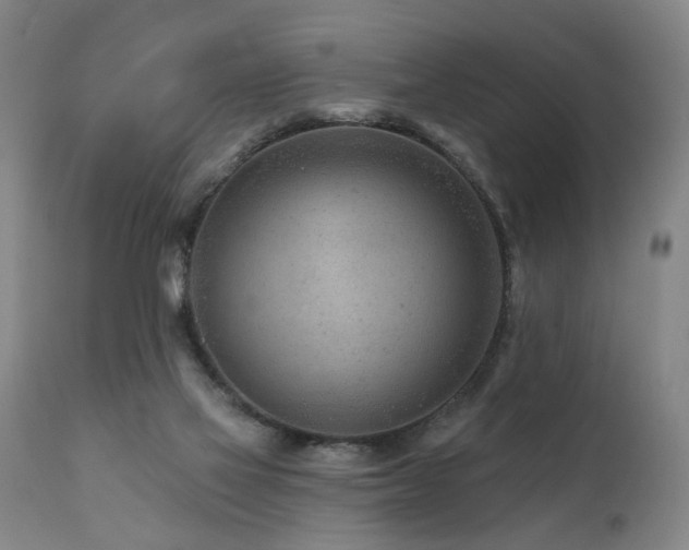 X0000112060069200908041225
