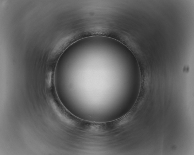X0000112060070200908041225