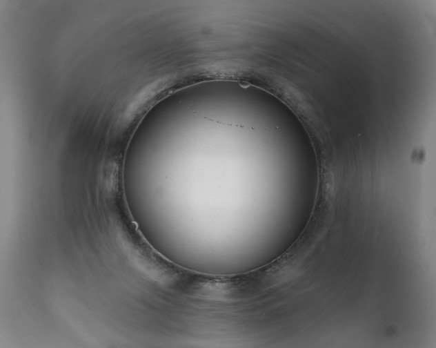 X0000112060071200908041225