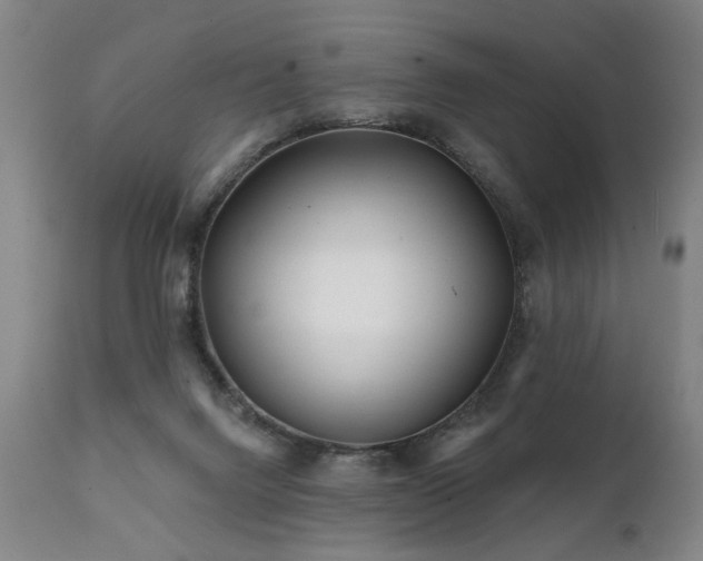 X0000112060072200908041225