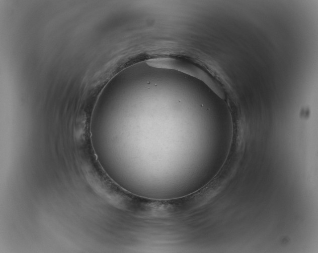 X0000112060073200908041225