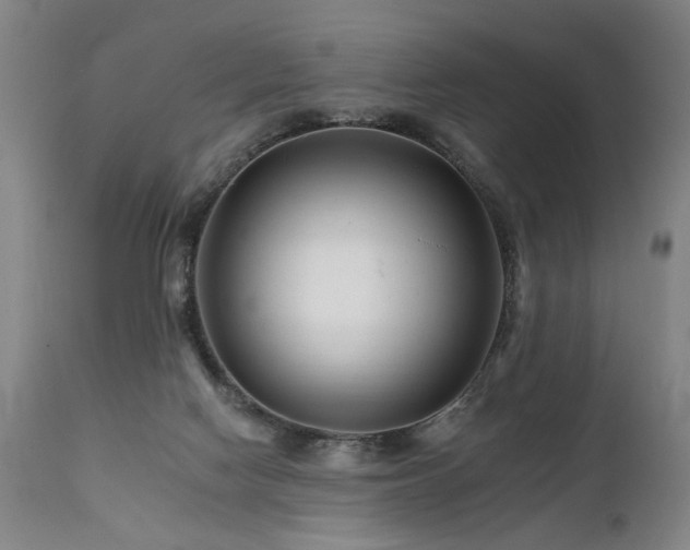 X0000112060074200908041225