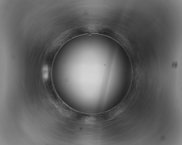 X0000112060075200908041225