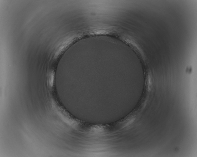 X0000112060076200908041225