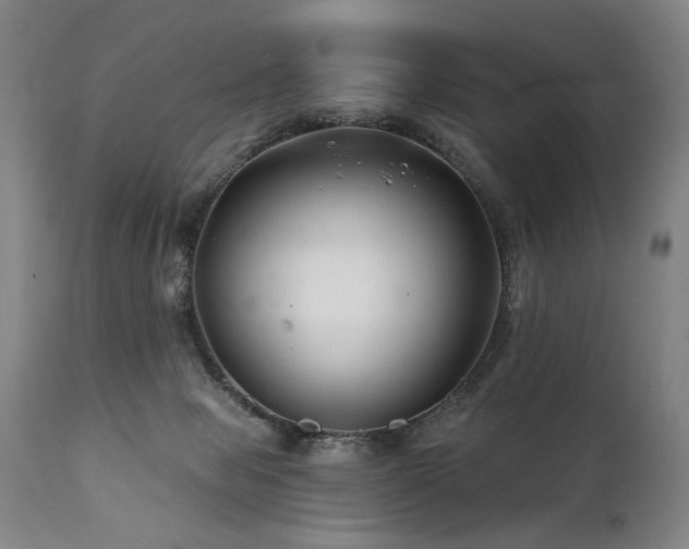 X0000112060077200908041225