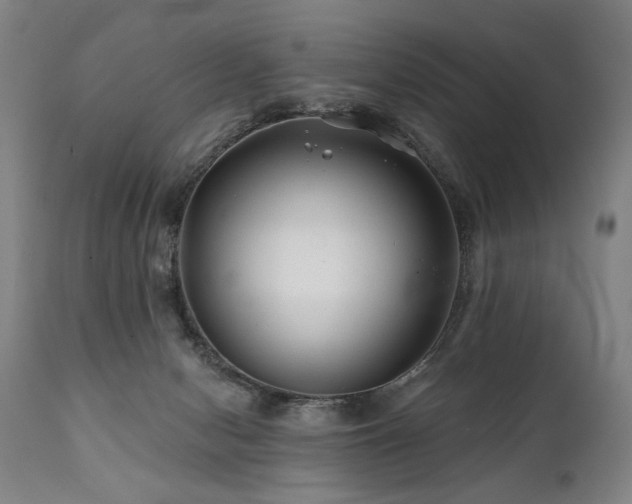 X0000112060078200908041225