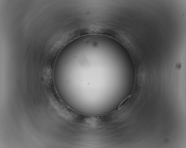 X0000112060079200908041225