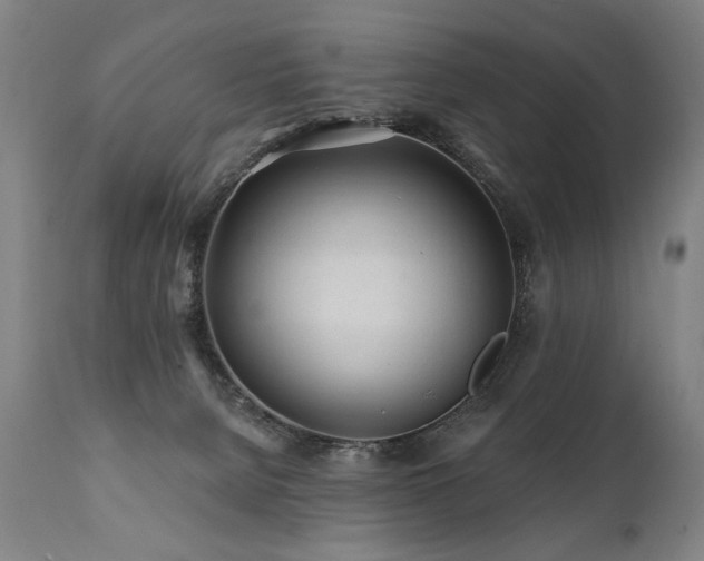 X0000112060080200908041225