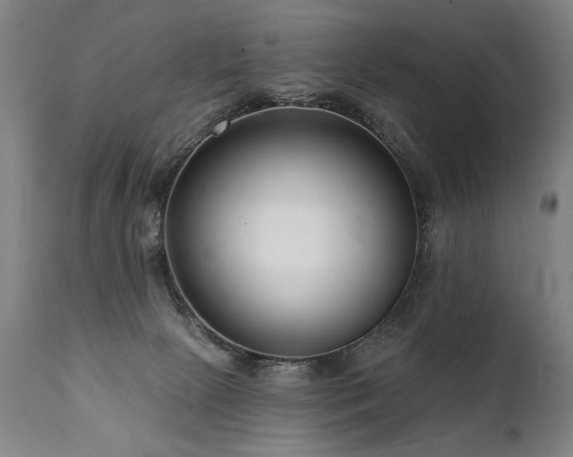 X0000112060081200908041225