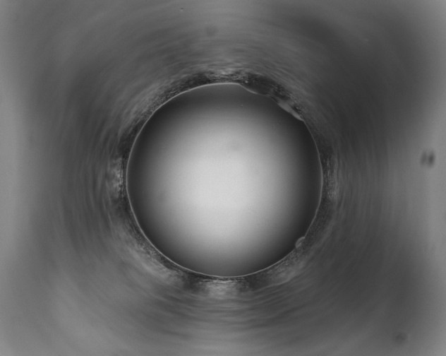 X0000112060085200908041225