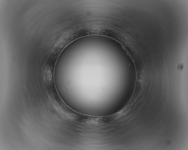 X0000112060086200908041225
