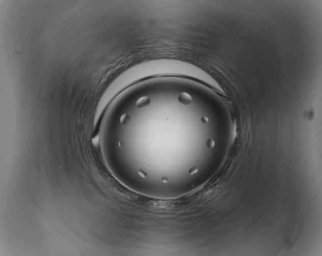 X0000112060088200908041225