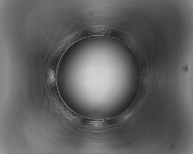 X0000112060089200908041225